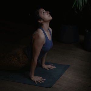 Retreat für die Sinne Ticket (18.01.2026)